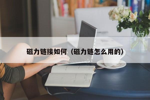 磁力链接如何（磁力链怎么用的）