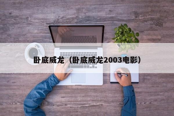 卧底威龙（卧底威龙2003电影）